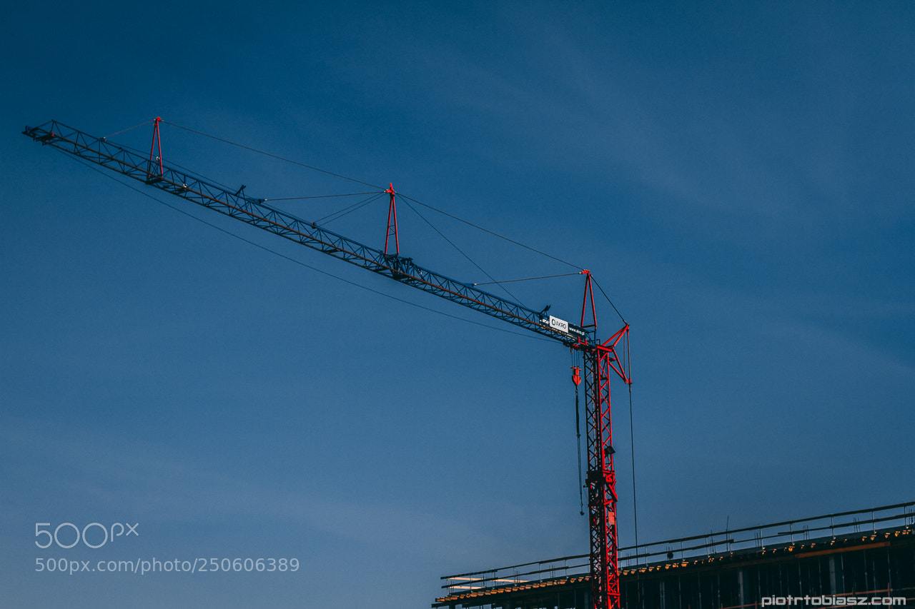 Canon EOS 7D sample photo. Crane. photography