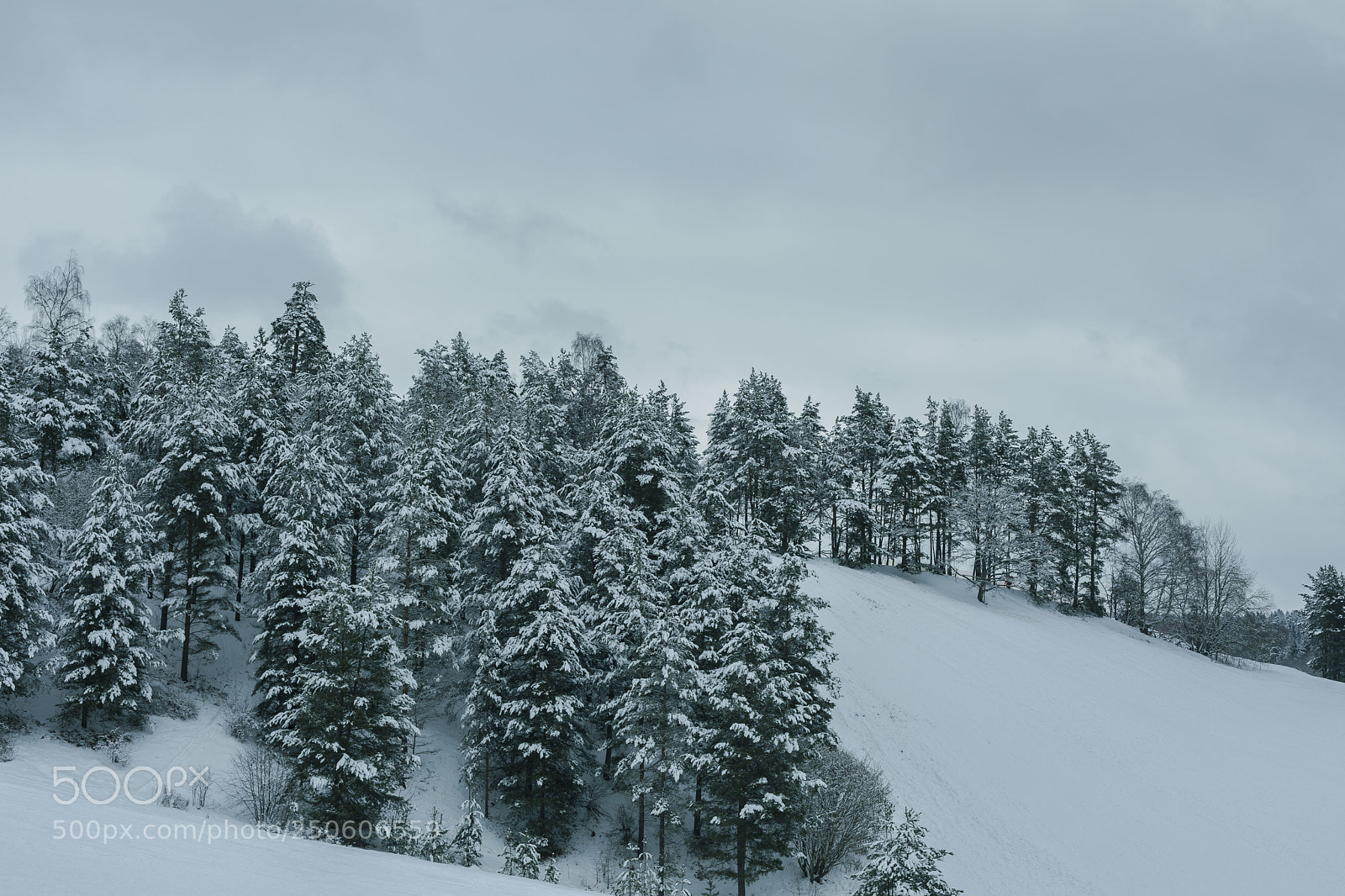 Canon EOS 5D Mark IV sample photo. Winter iii photography