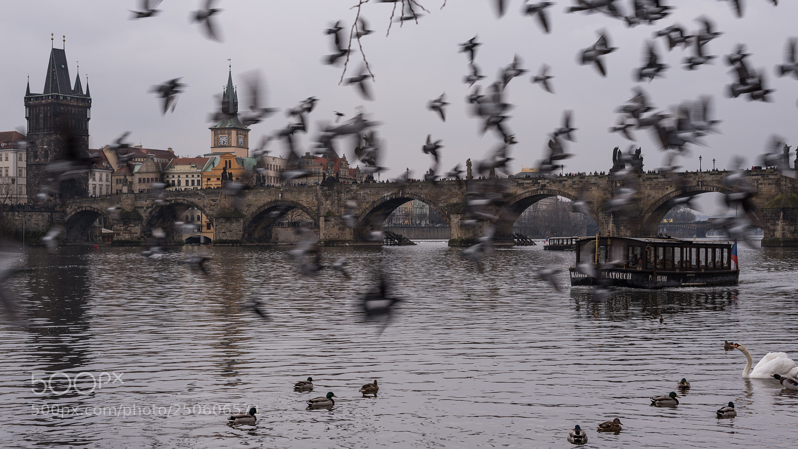 Nikon D750 sample photo. Prague, charles bridge photography