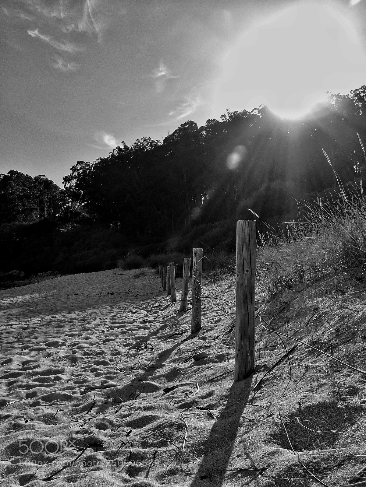 Nikon Coolpix P530 sample photo. Melide... photography
