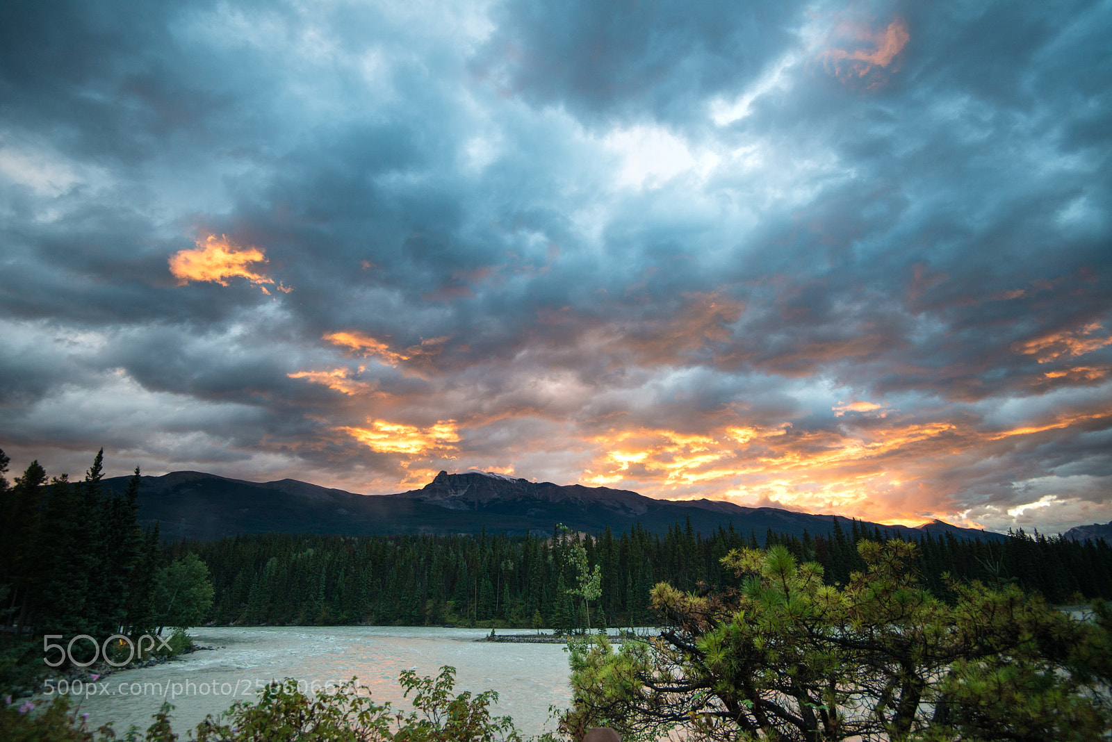Nikon D800 sample photo. Clouds on fire at photography