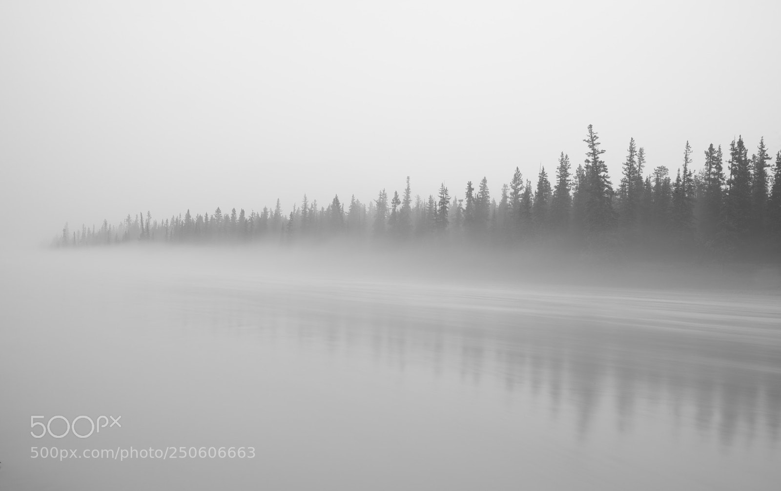Nikon D800 sample photo. A foggy athabasca river photography