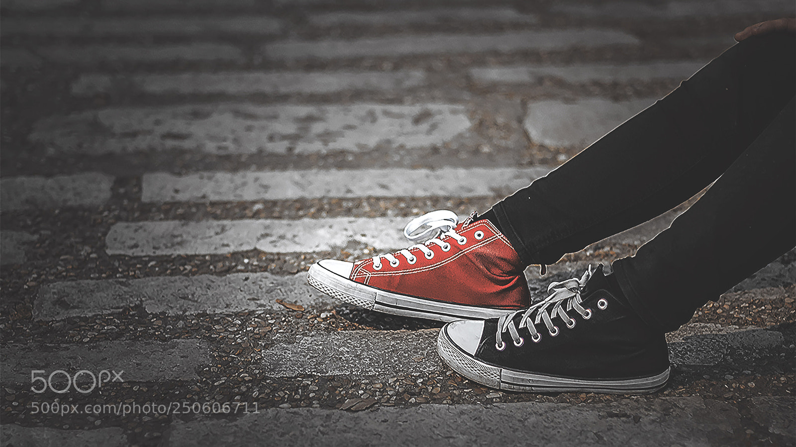 Nikon D600 sample photo. Red and black photography