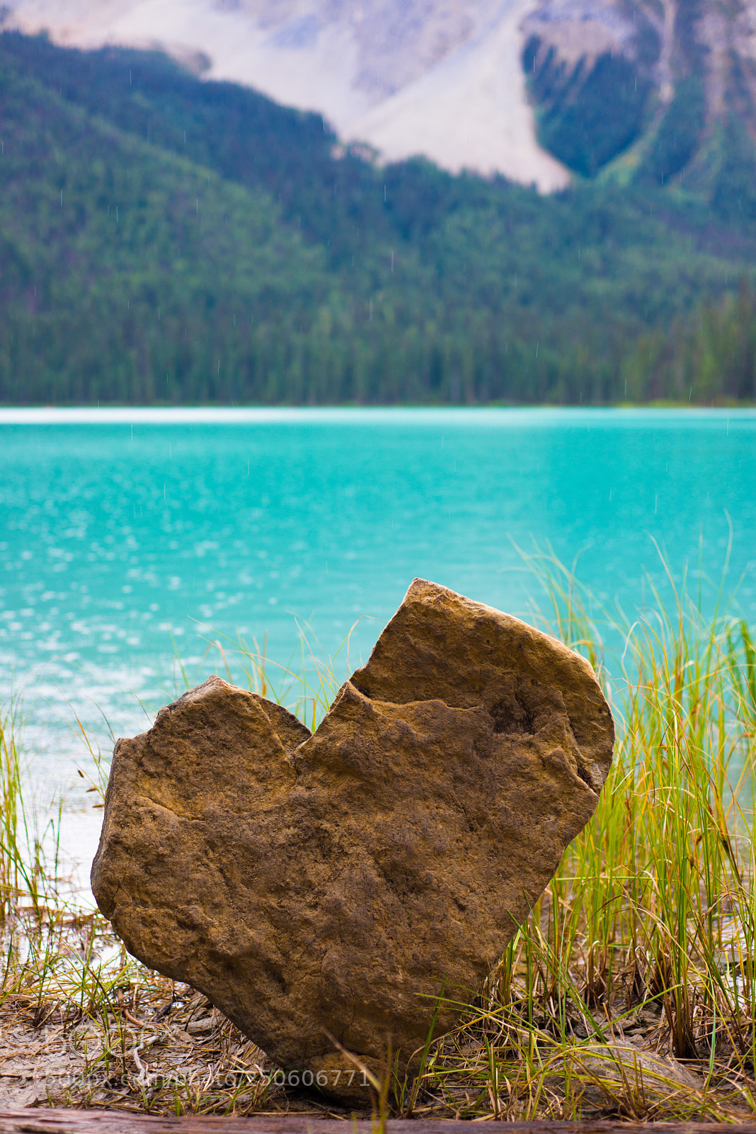 Nikon D800 sample photo. Emerald lake sends its photography