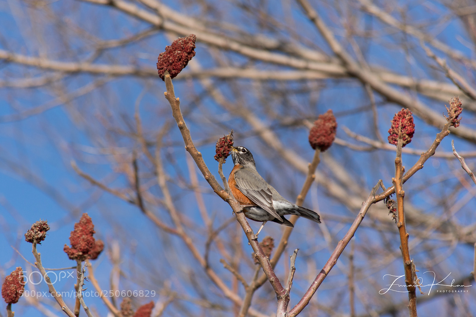 Nikon D3400 sample photo. Time to eat  photography