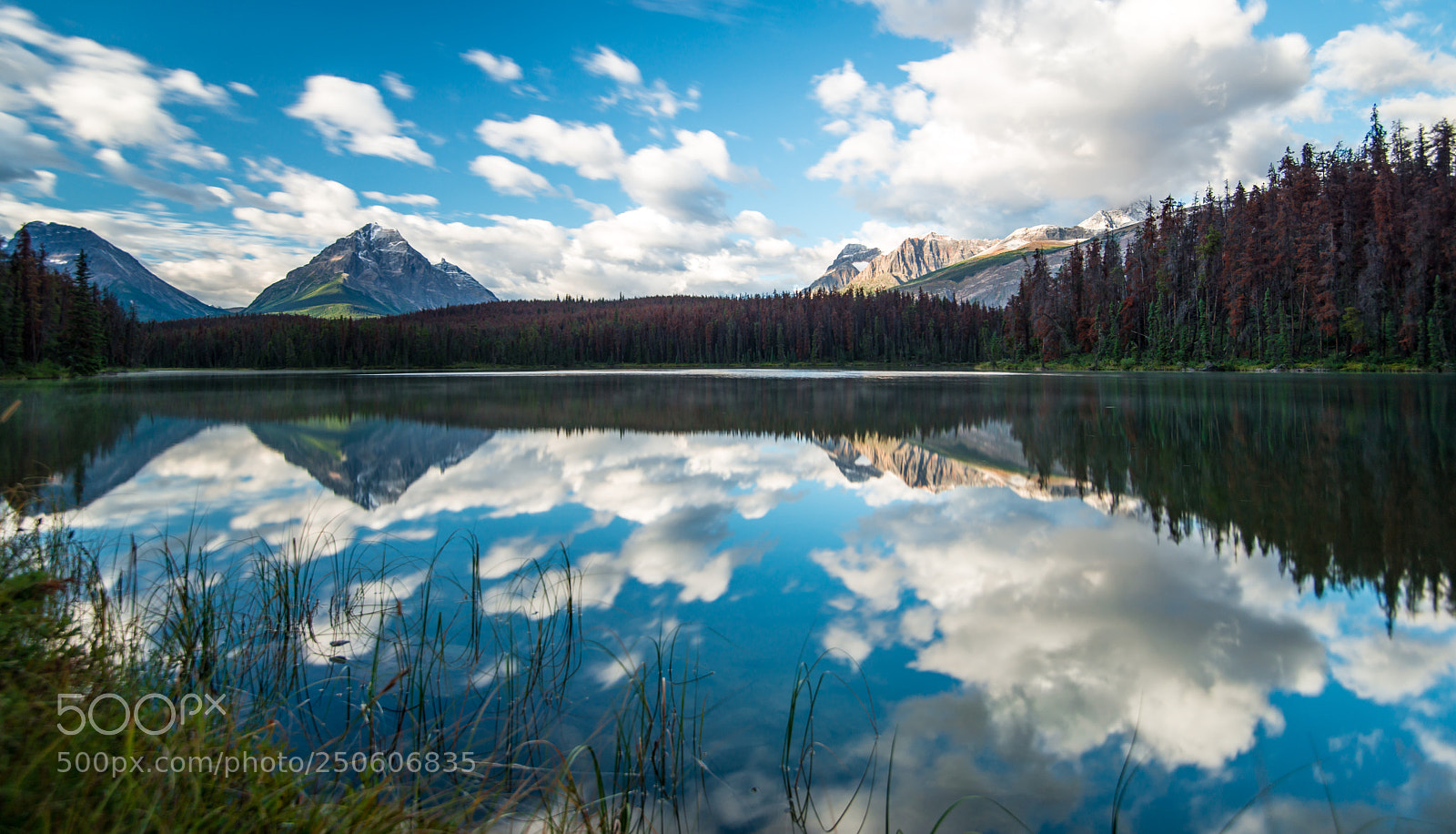 Nikon D800 sample photo. An imperfect reflection at photography