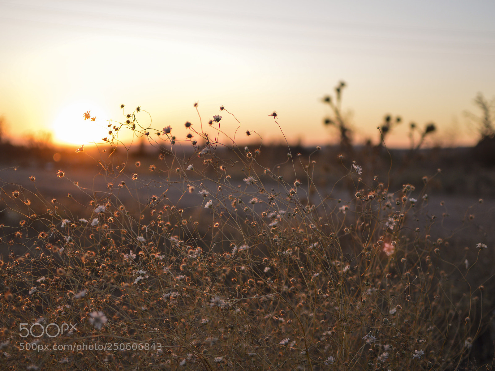 Nikon D3200 sample photo. Sunshine photography