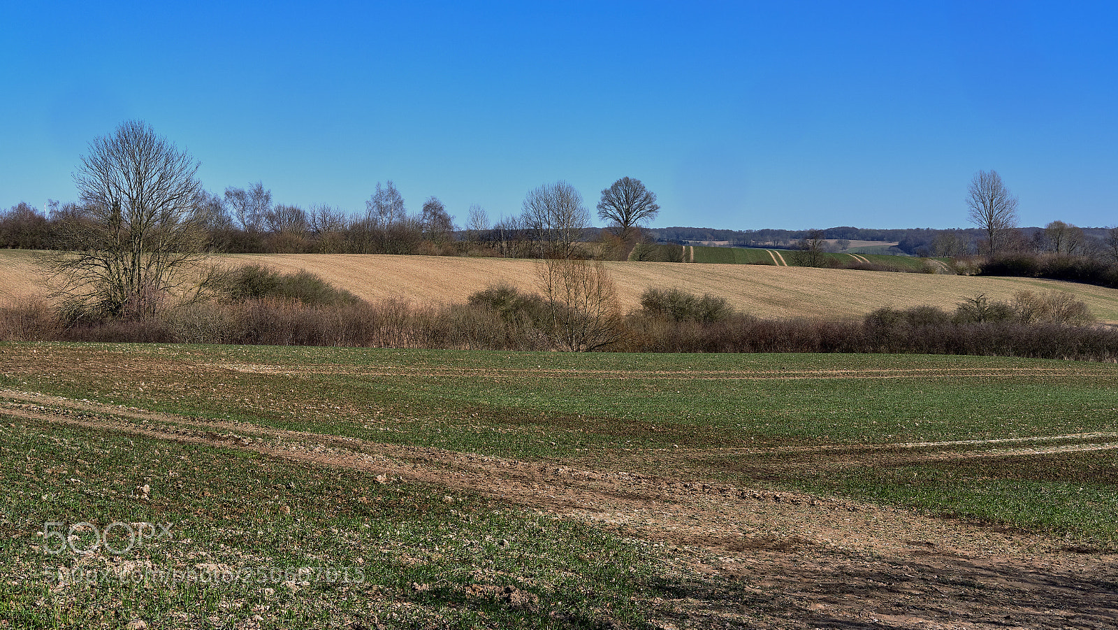 Fujifilm X-H1 sample photo. Feld- und waldwege in photography