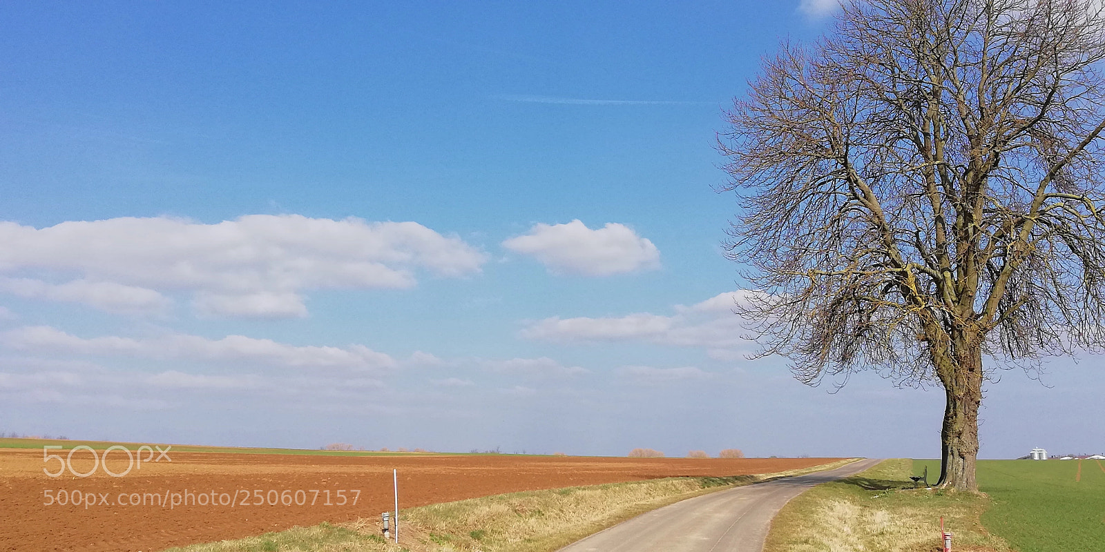 HUAWEI Mate 10 Lite sample photo. Springtime photography