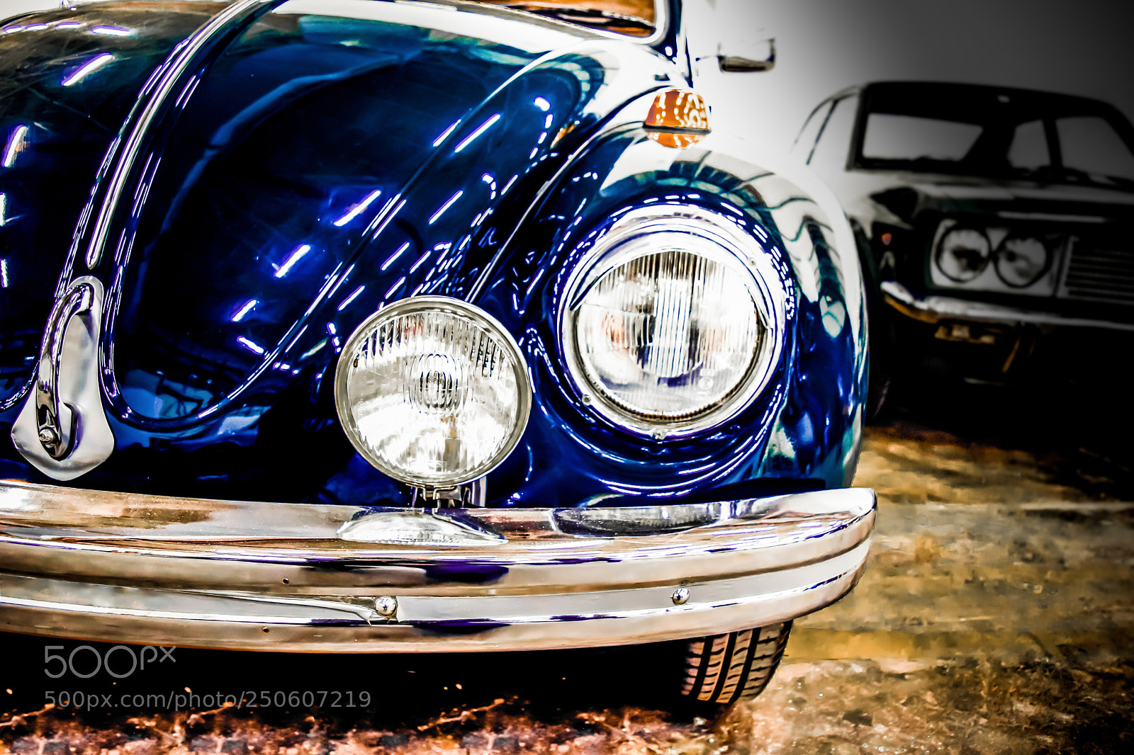 Nikon D5300 sample photo. The beetle!! photography