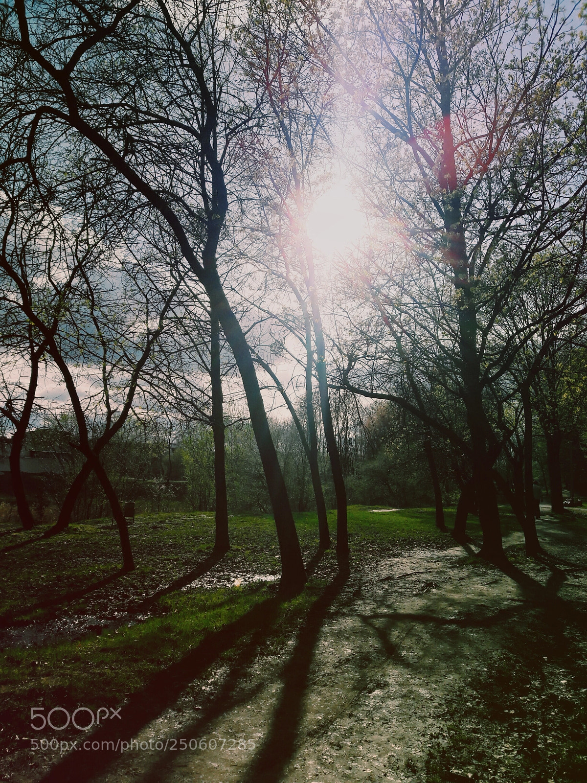 Samsung Galaxy J7 sample photo. Chilly nature. photography