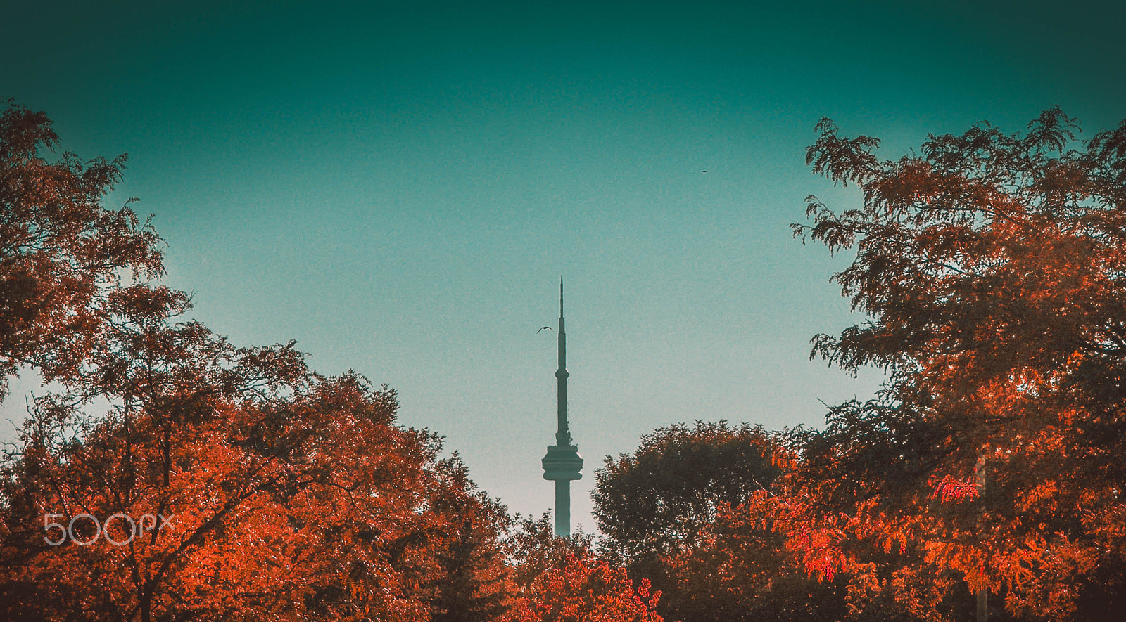 Olympus C70Z,C7000Z sample photo. Moody toronto photography