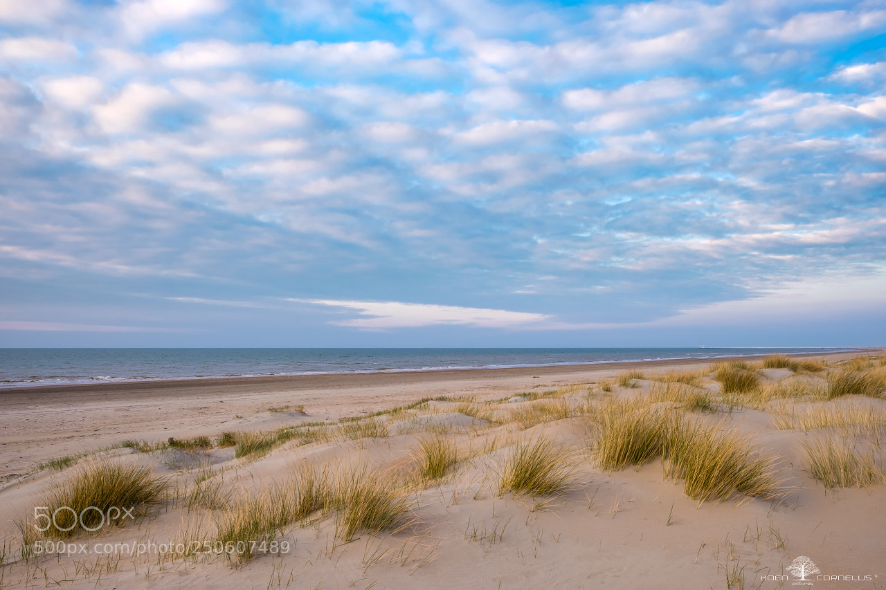 Fujifilm X-T1 sample photo. Zeebermduinen photography