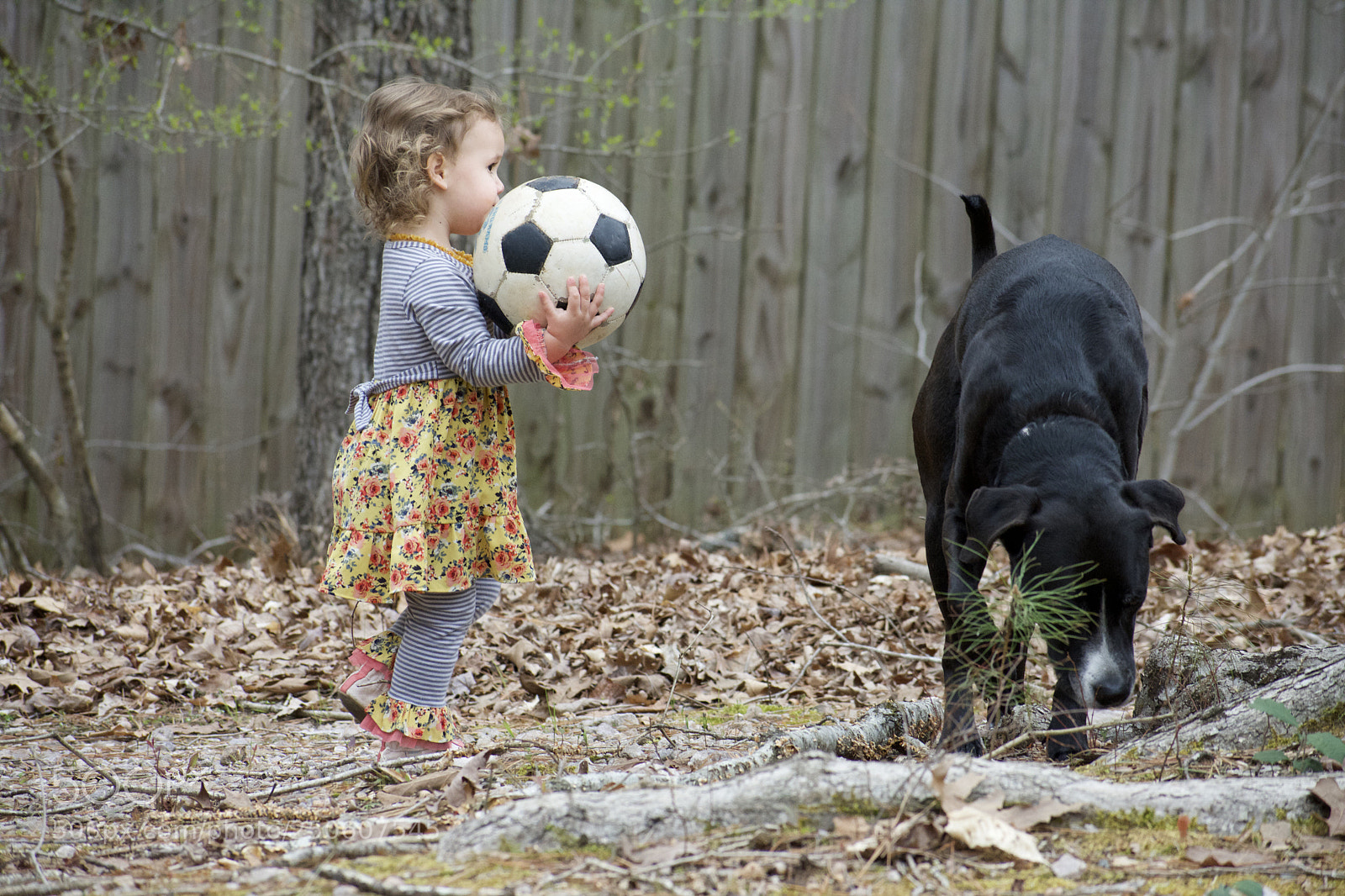Nikon D3400 sample photo. A girl and her photography