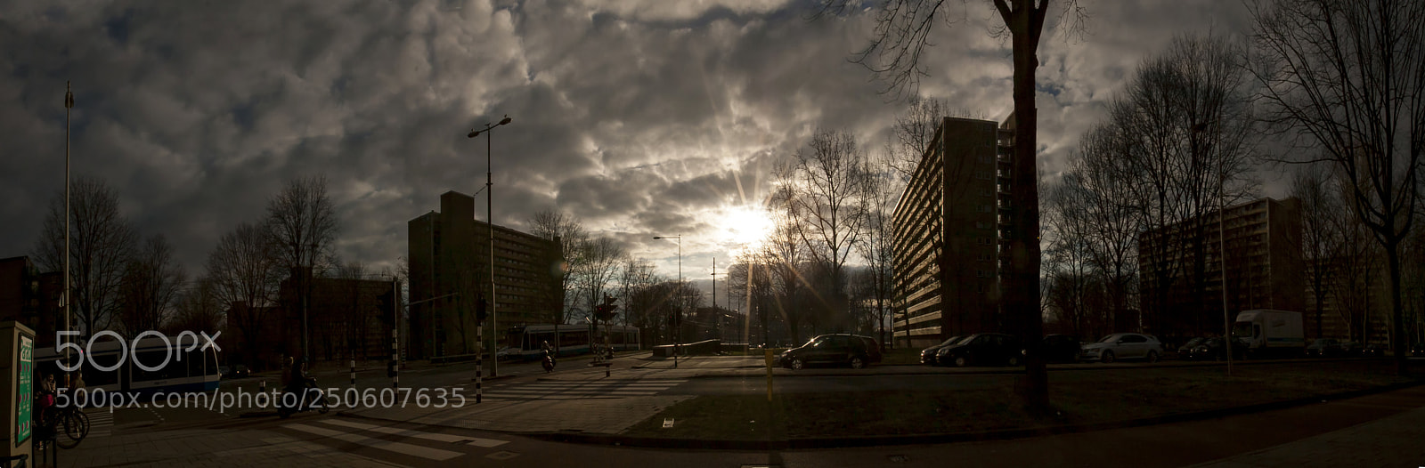 Canon EOS 50D sample photo. Untitled photography