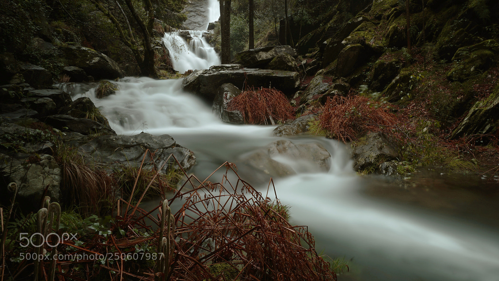 Sony a7 II sample photo. Riptide photography