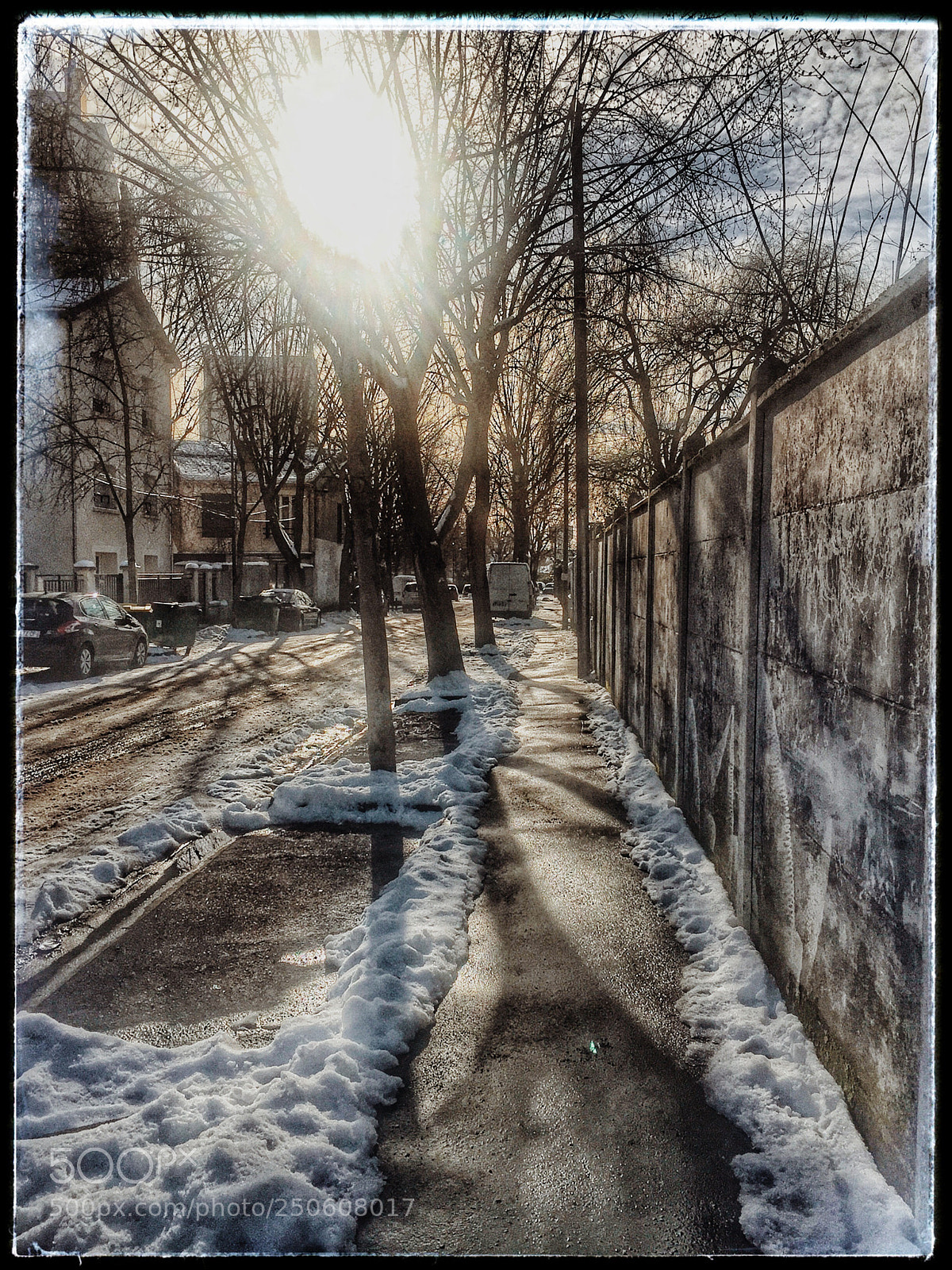 Apple iPhone 6 Plus sample photo. Untitled photography