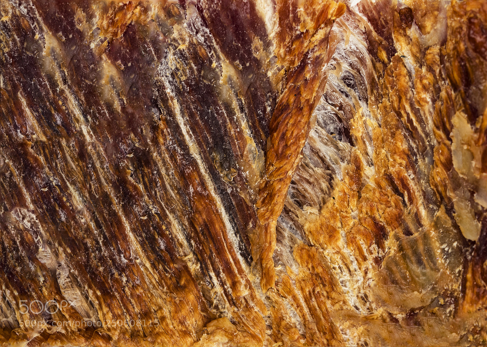 Nikon D5500 sample photo. Texture of smoked meat photography