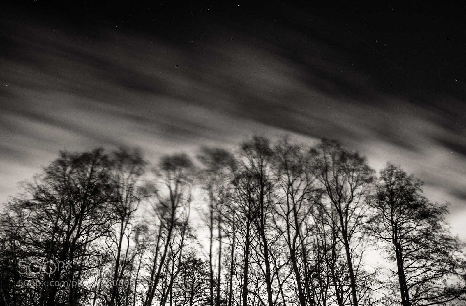 Nikon D7200 sample photo. Trees. photography