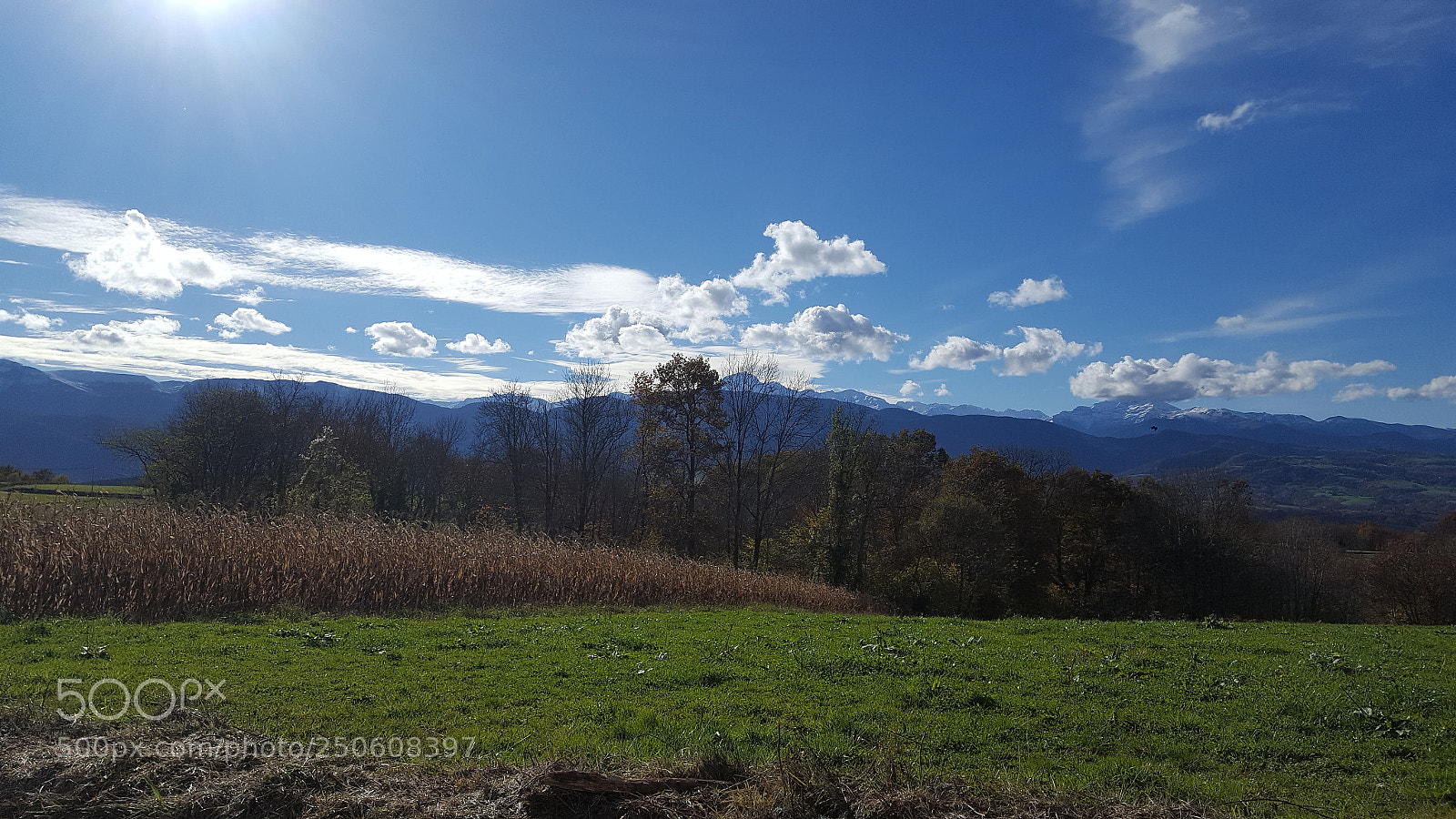 Samsung GALAXY S6 edge sample photo. Untitled photography