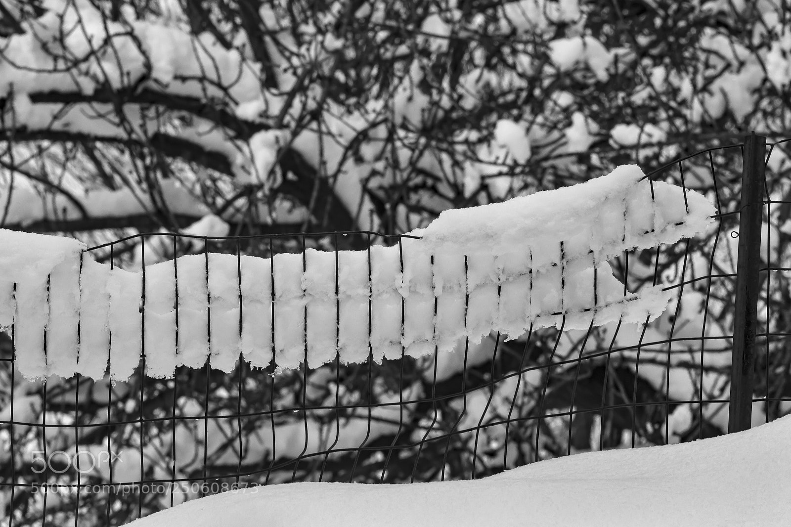 Canon EOS 60D sample photo. Snow fence and trees photography