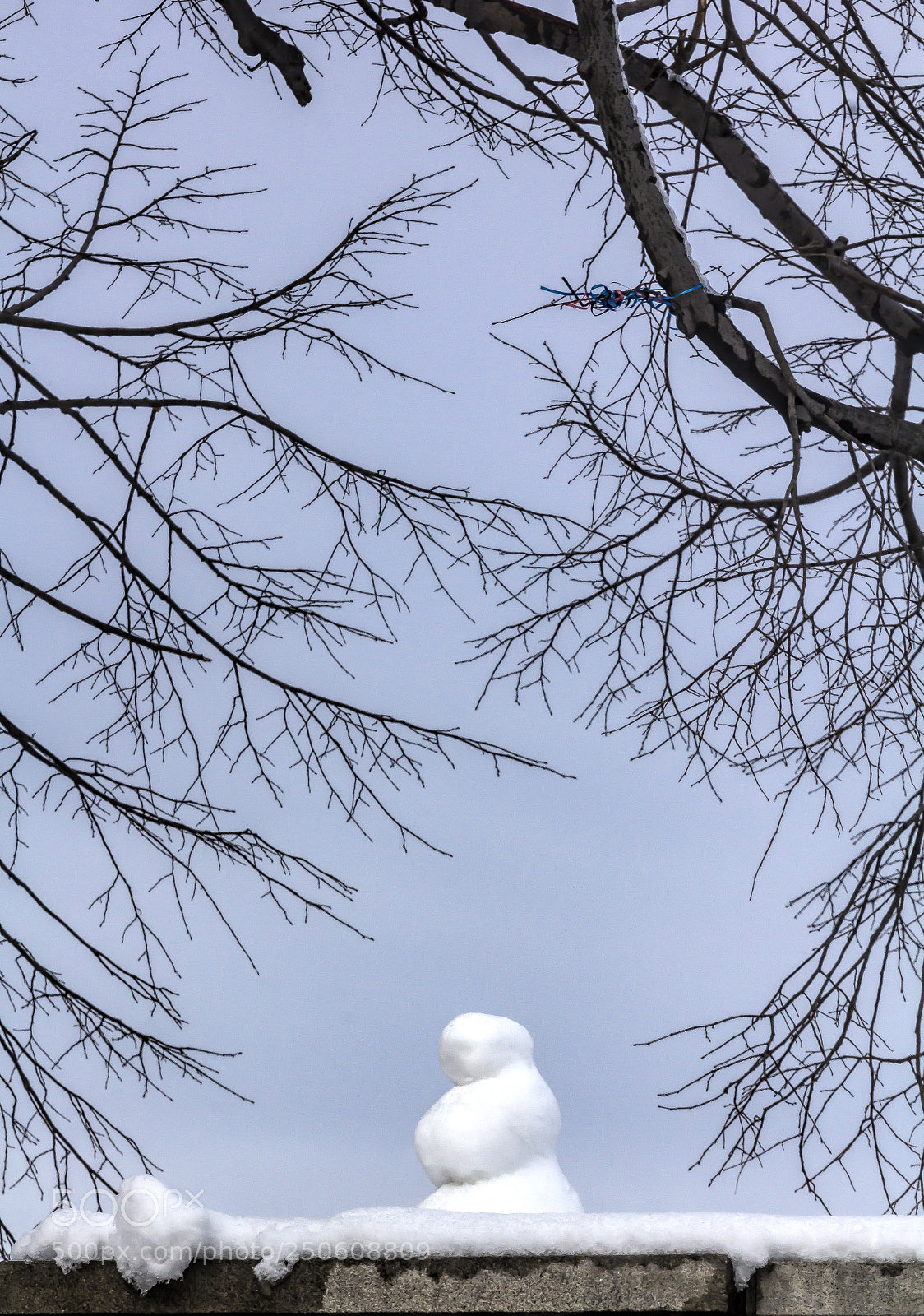 Canon EOS 60D sample photo. Small snowman photography