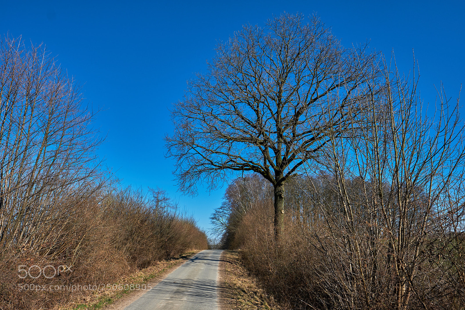 Fujifilm X-H1 sample photo. In der na he photography