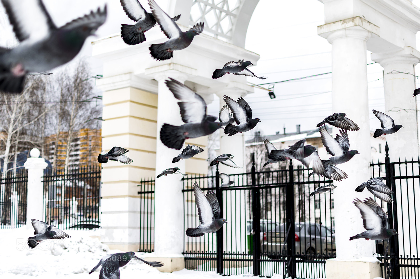 Nikon D3300 sample photo. Парк Кирова photography