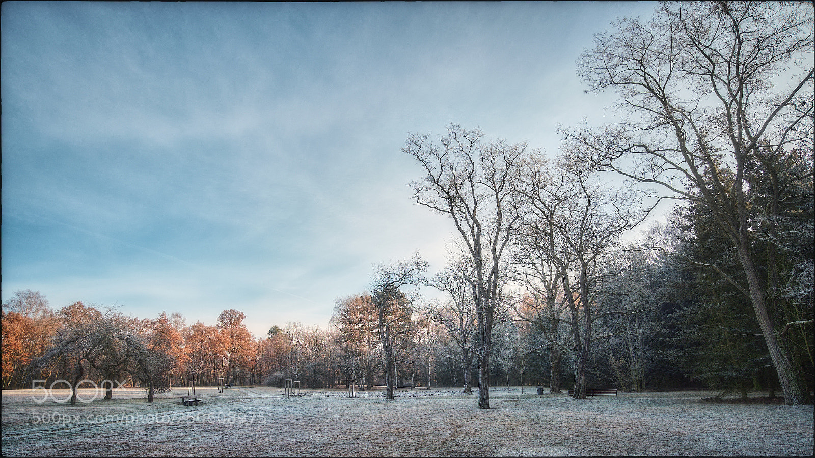 Fujifilm X-T1 sample photo. Frozen morning photography