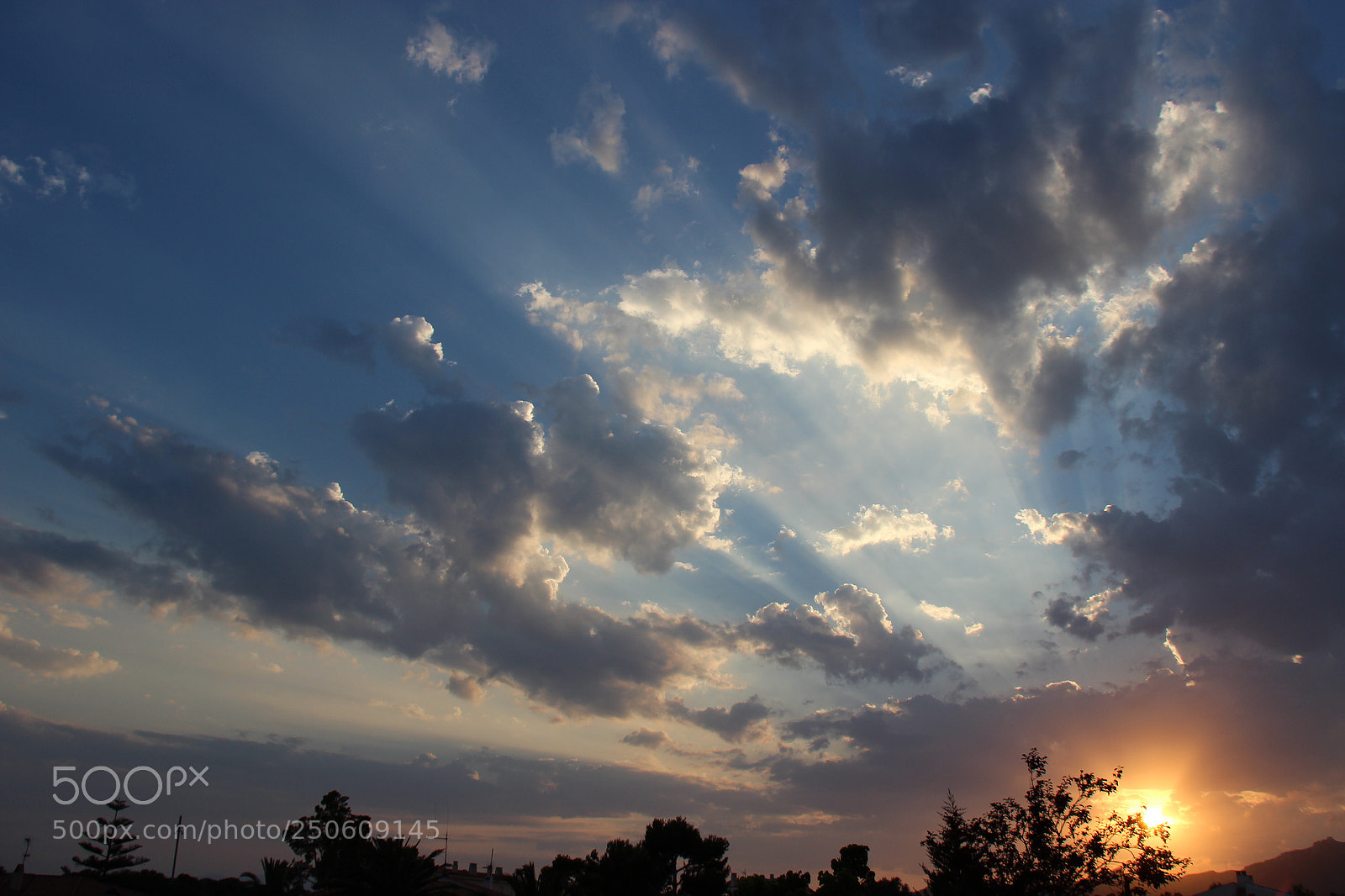 Canon EOS 600D (Rebel EOS T3i / EOS Kiss X5) sample photo. Https flic.kr p vwkbmx photography