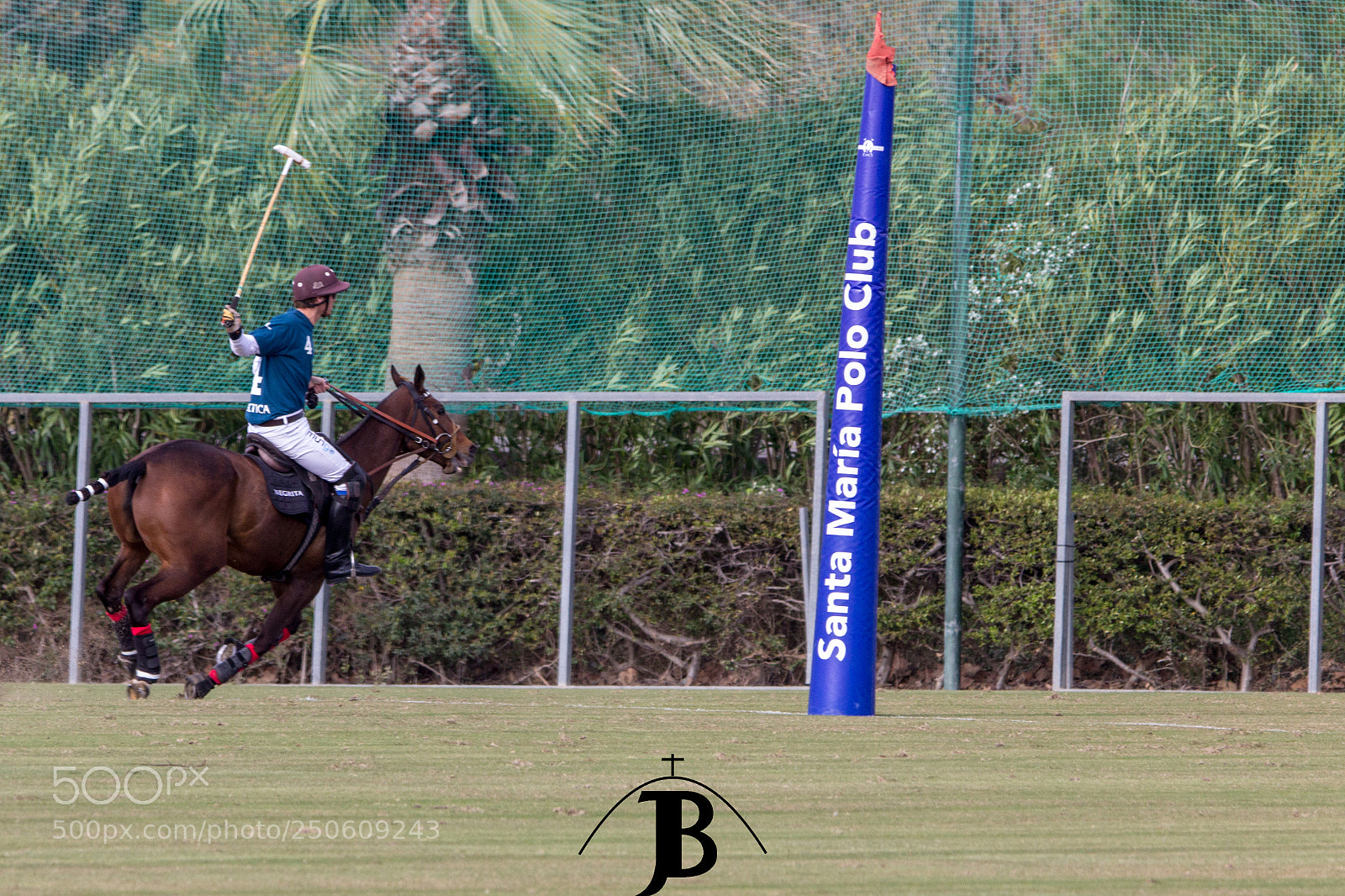 Canon EOS 600D (Rebel EOS T3i / EOS Kiss X5) sample photo. Tarde de polo polo photography