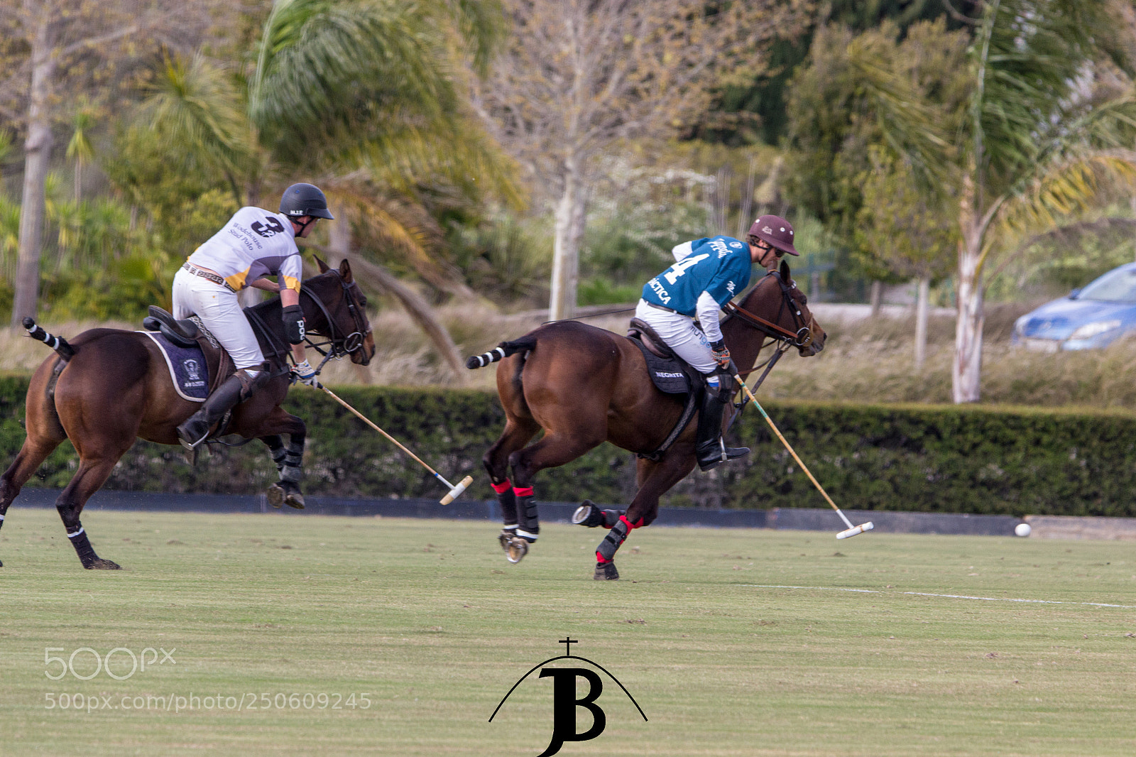 Canon EOS 600D (Rebel EOS T3i / EOS Kiss X5) sample photo. Tarde de polo polo photography