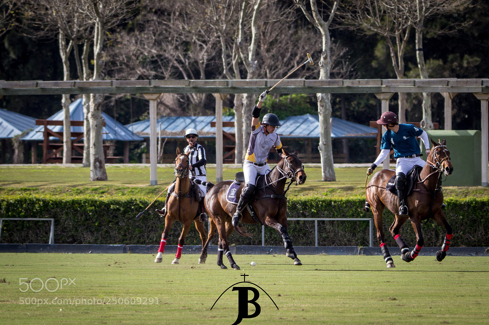 Canon EOS 600D (Rebel EOS T3i / EOS Kiss X5) sample photo. Tarde de polo polo photography