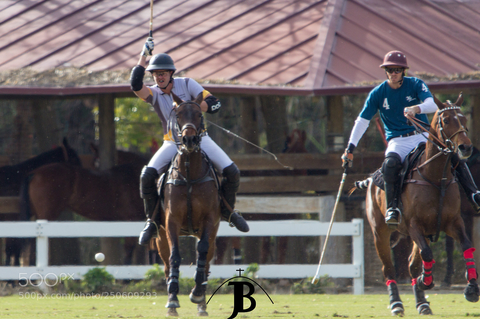 Canon EOS 600D (Rebel EOS T3i / EOS Kiss X5) sample photo. Tarde de polo polo photography
