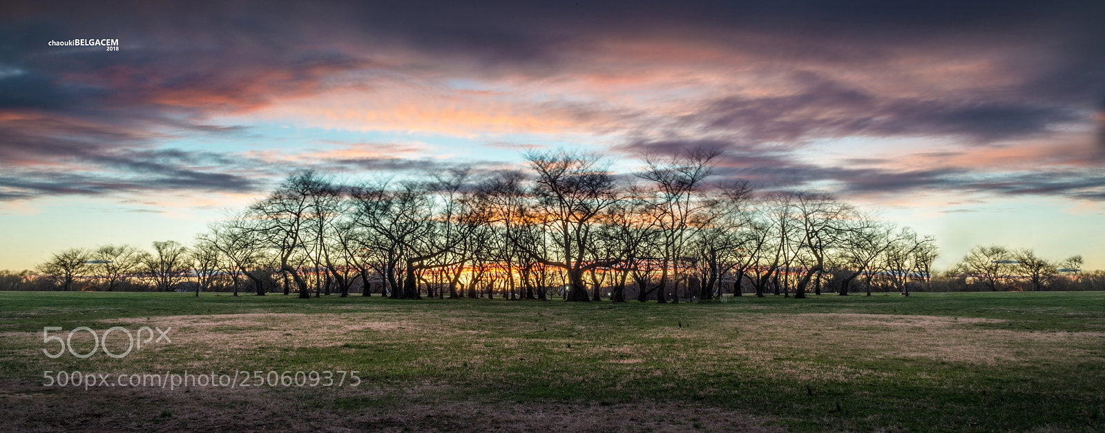 Nikon D610 sample photo. Washington monumentn park photography