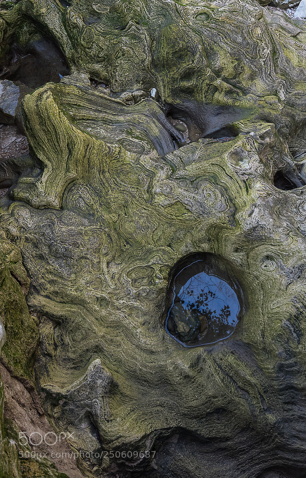 Nikon D500 sample photo. Roccia photography