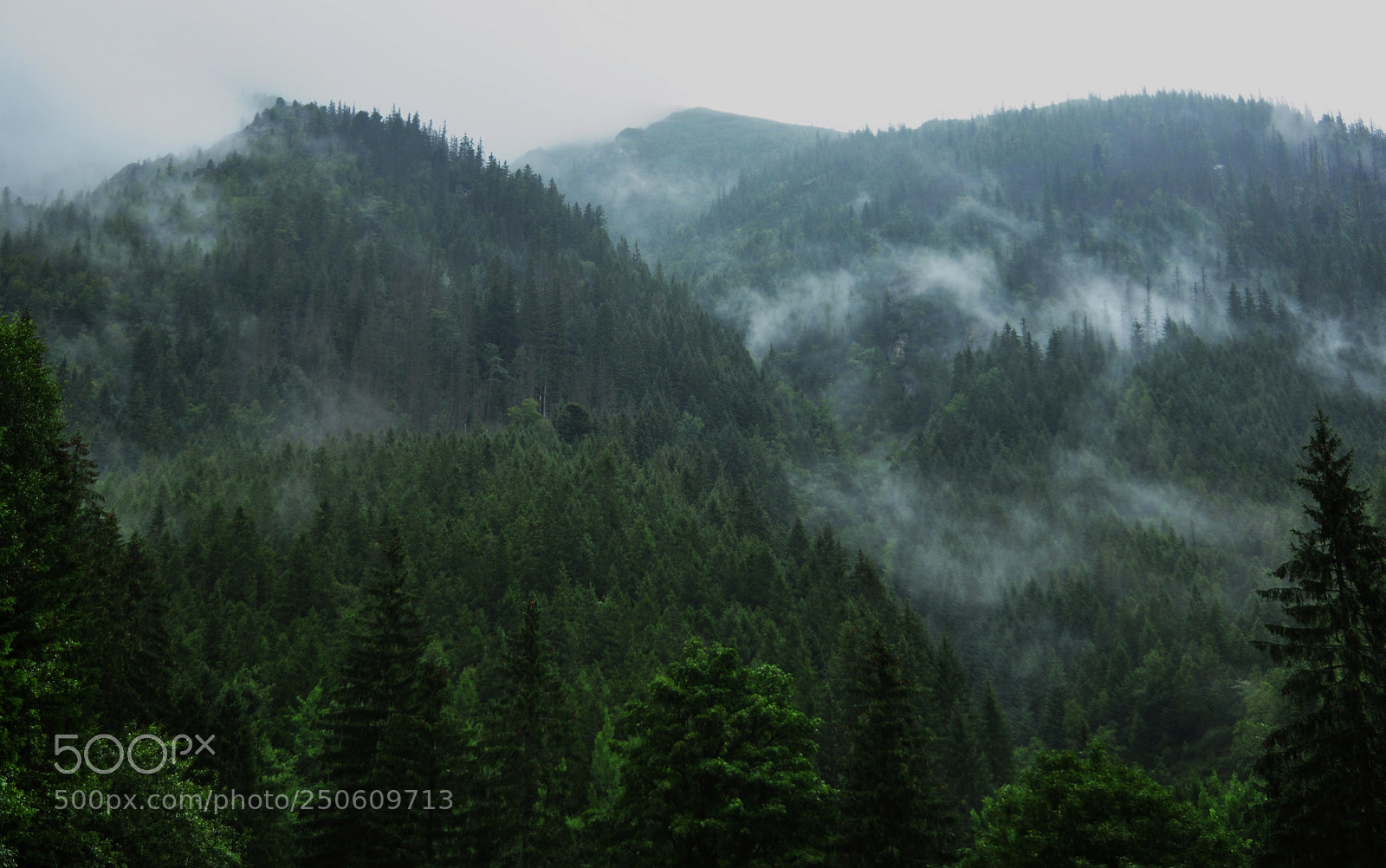 Nikon D90 sample photo. Misty mountain photography