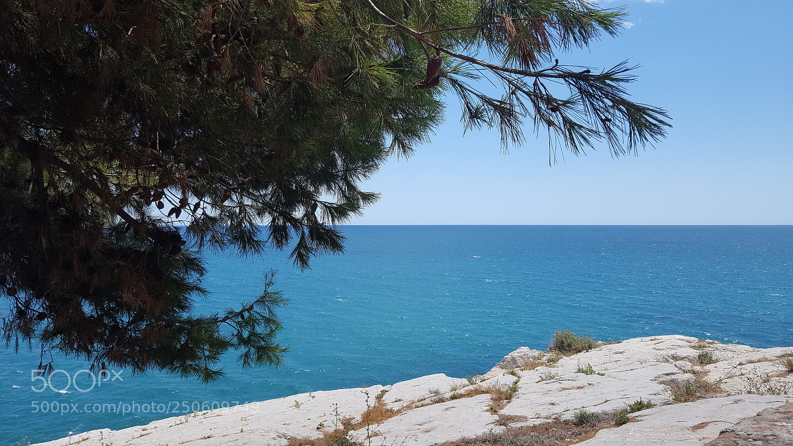 Samsung GALAXY S6 edge sample photo. Untitled photography