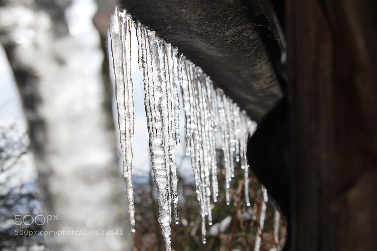 Canon EOS 100D (EOS Rebel SL1 / EOS Kiss X7) sample photo. Icicles photography