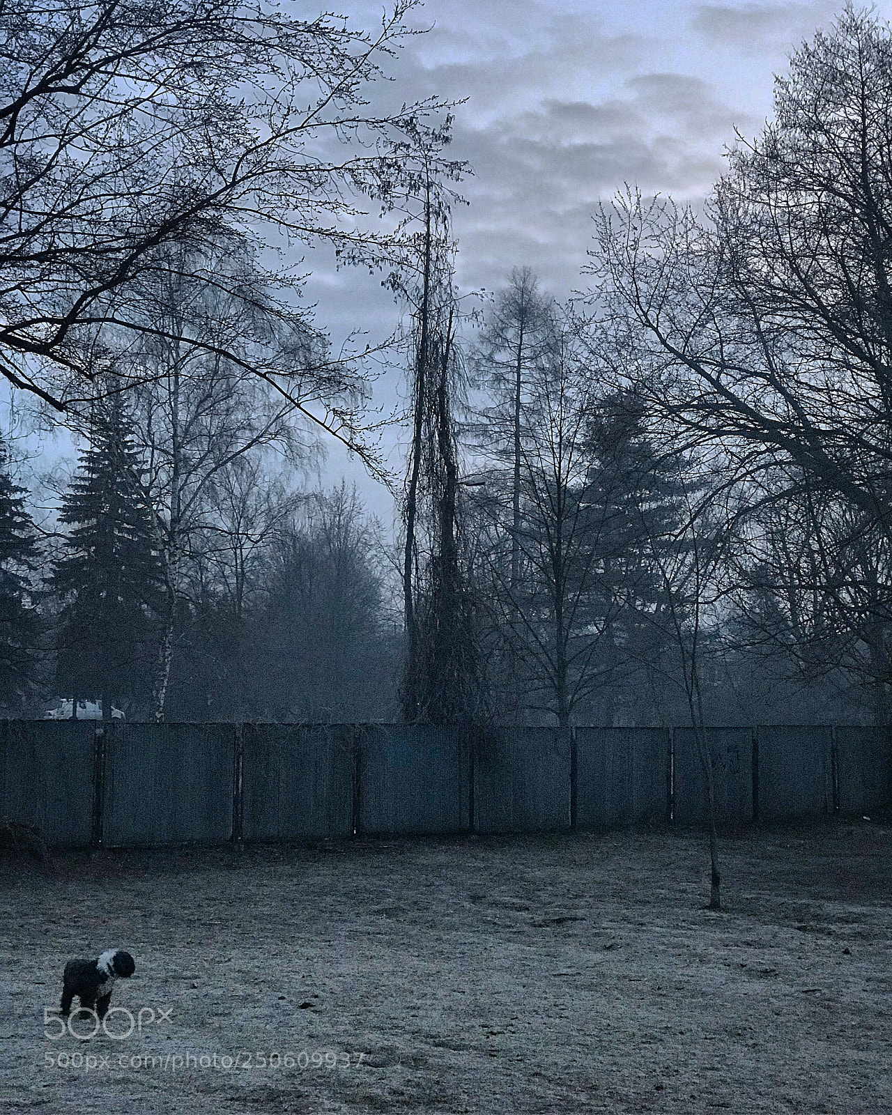 Apple iPhone 7 Plus sample photo. Krakow, poland  photography