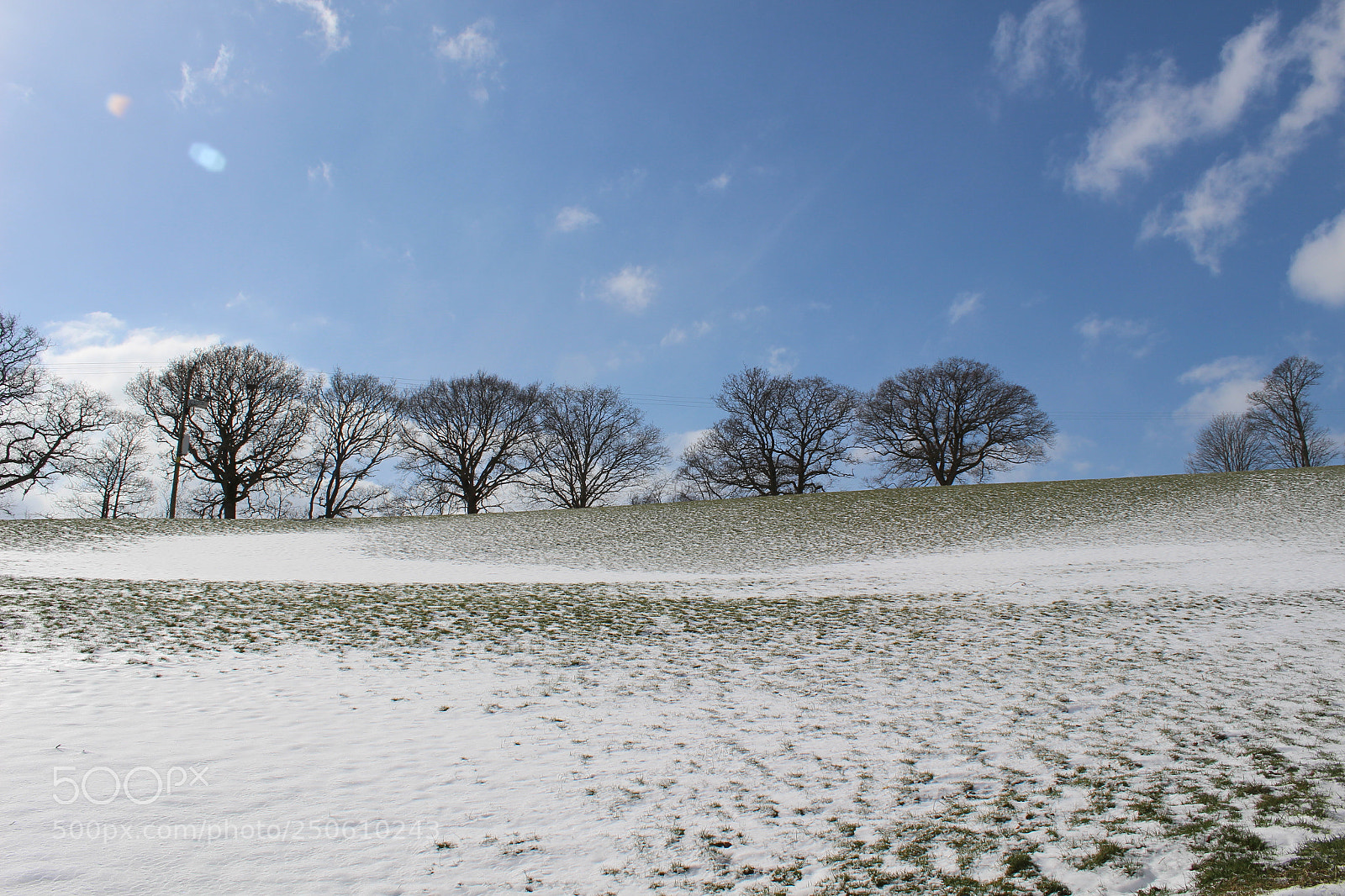 Canon EOS 100D (EOS Rebel SL1 / EOS Kiss X7) sample photo. Trees on the hill photography