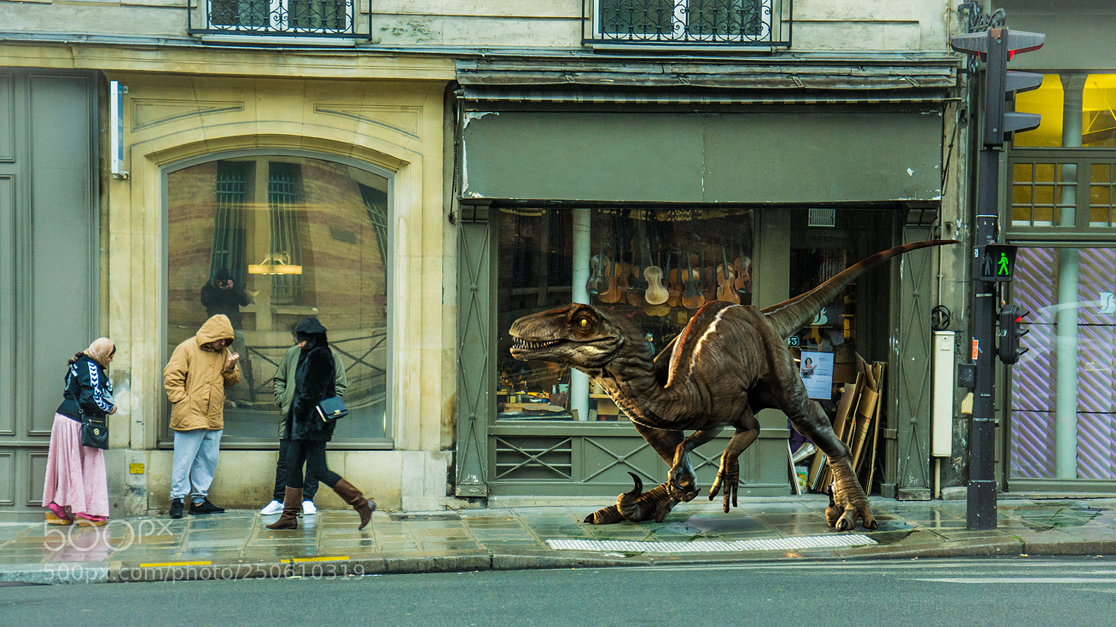 Nikon D3100 sample photo. Raptor in paris photography