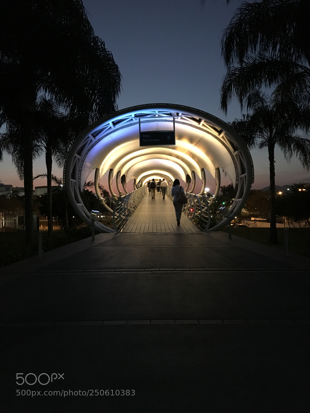 Apple iPhone 6s sample photo. Untitled photography