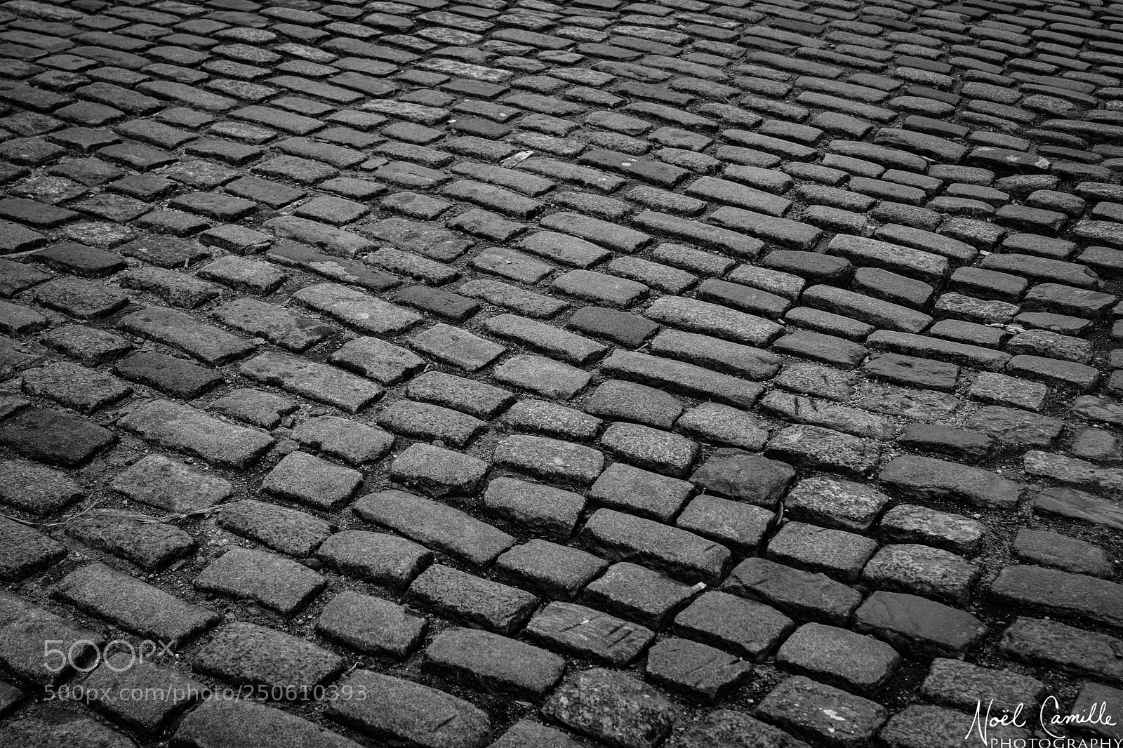 Sony SLT-A65 (SLT-A65V) sample photo. Cobblestone street photography