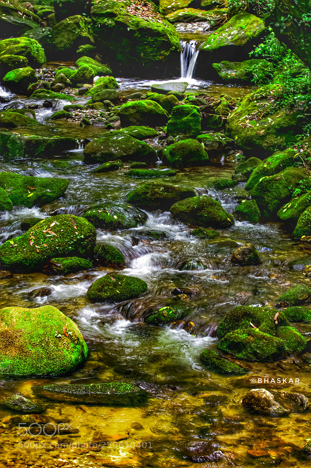Nikon D5200 sample photo. Colours of nature photography
