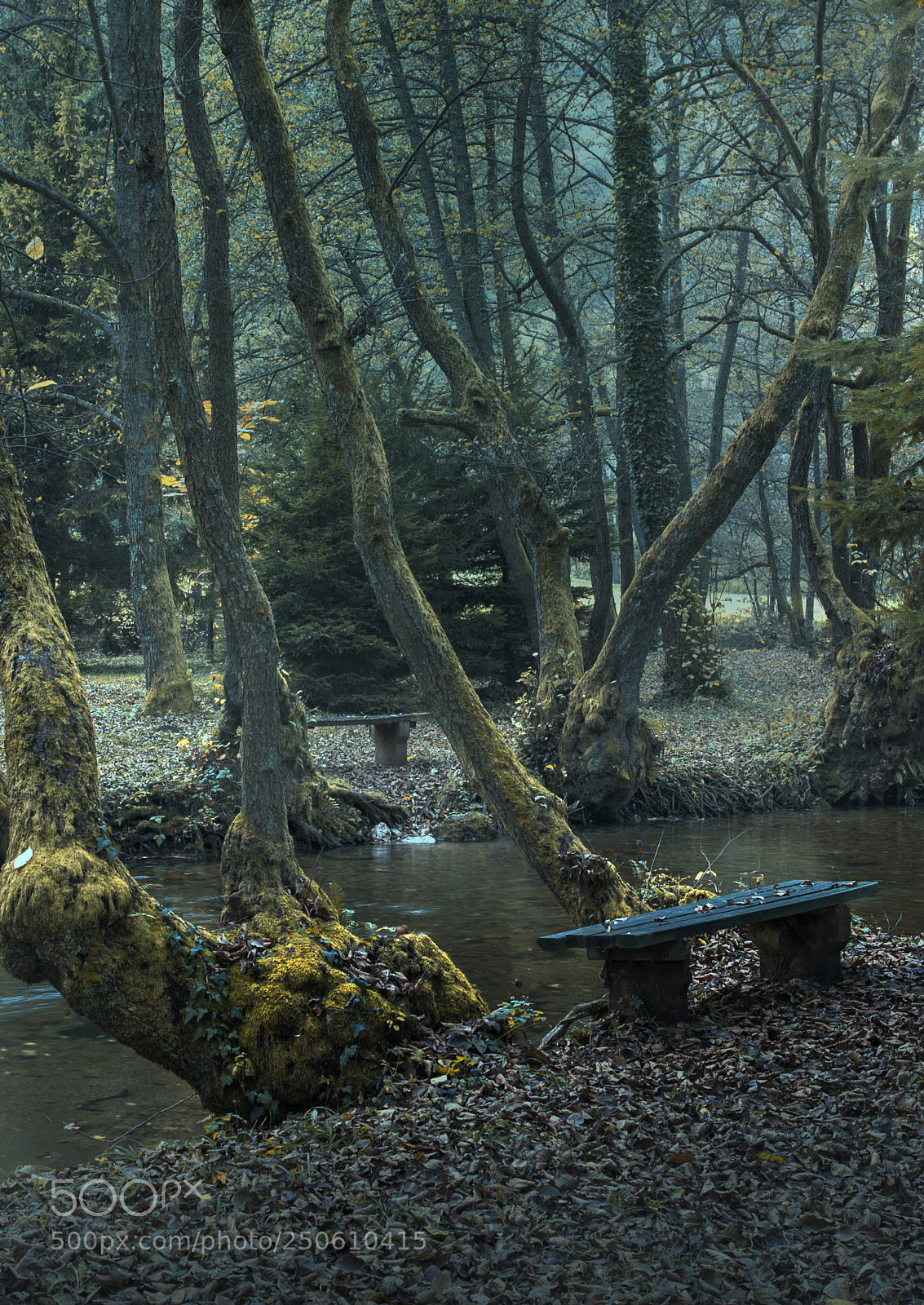 Nikon D610 sample photo. Bench photography