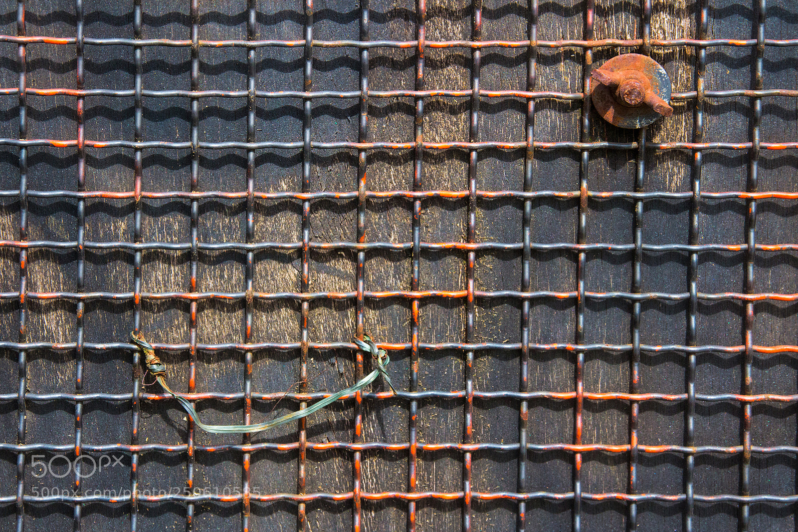 Canon EOS 700D (EOS Rebel T5i / EOS Kiss X7i) sample photo. Sourire en coin (smirking) photography