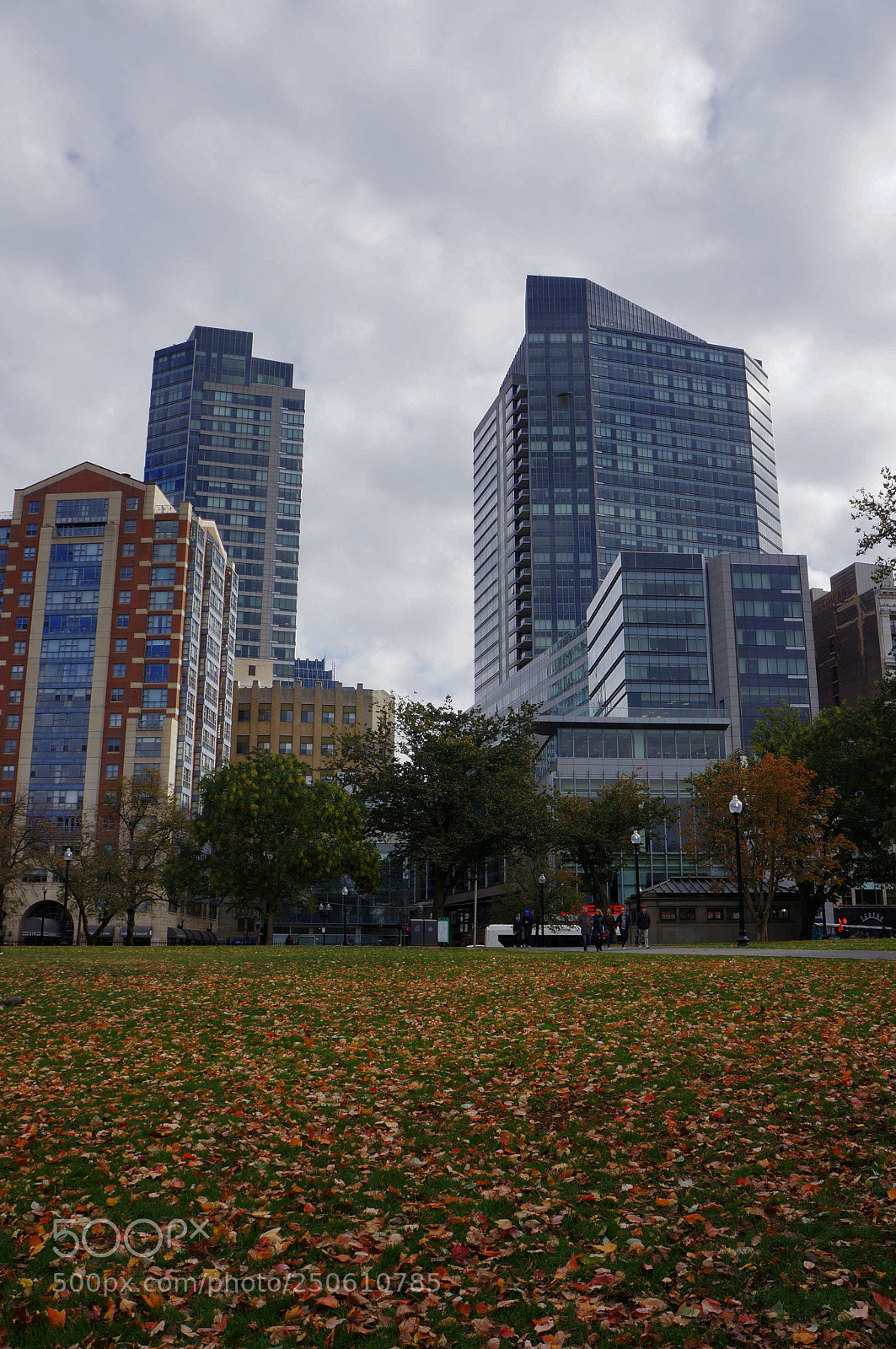 Sony Alpha NEX-5N sample photo. Autumn in the city photography