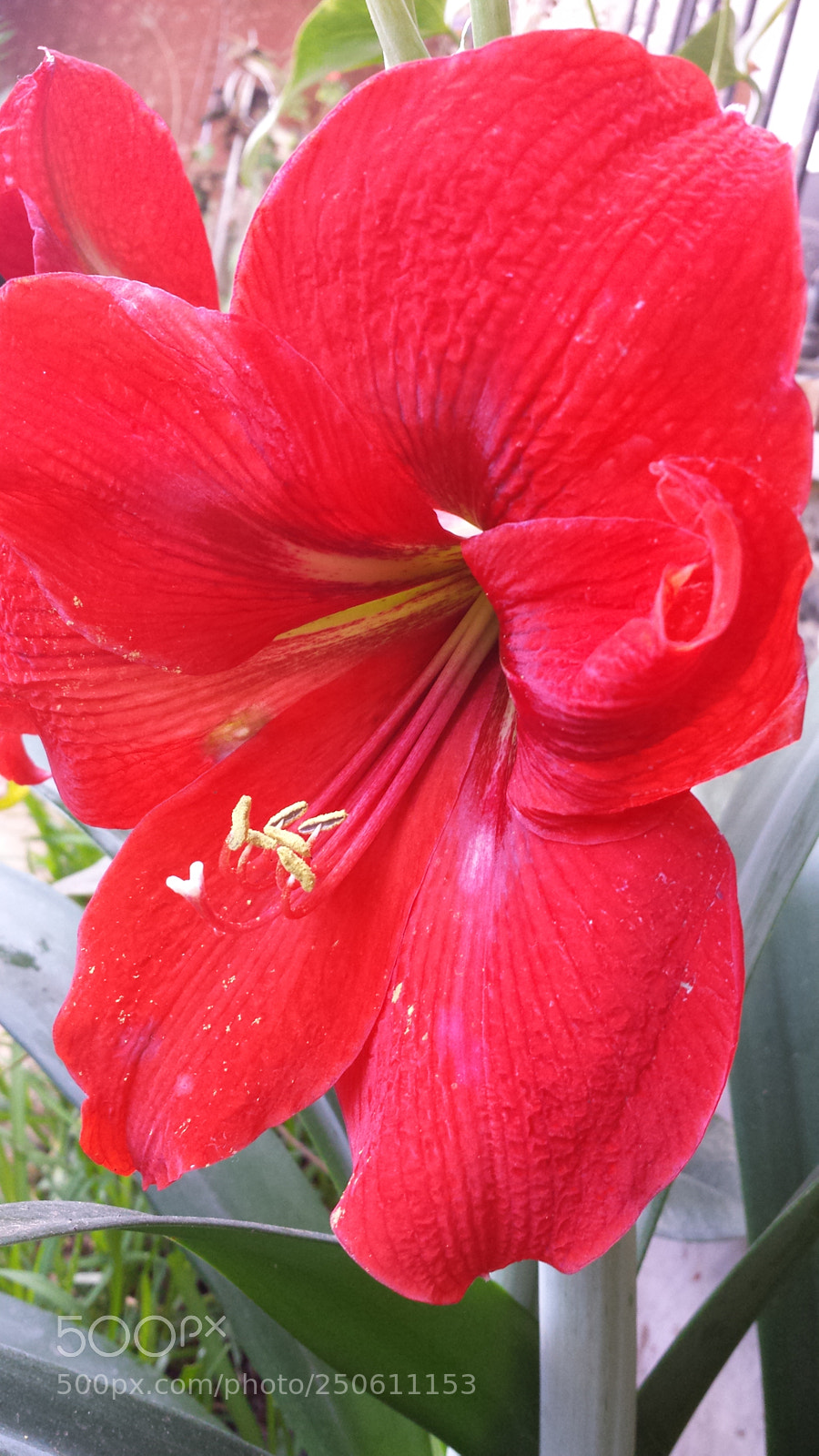 Samsung Galaxy S4 sample photo. Untitled photography