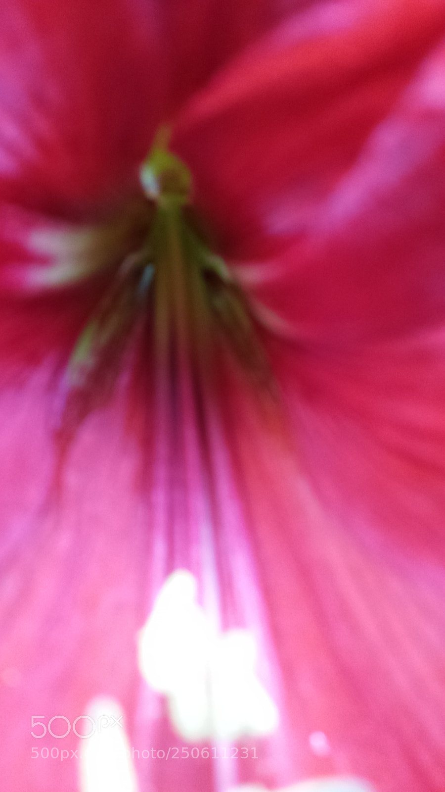 Samsung Galaxy S4 sample photo. Untitled photography